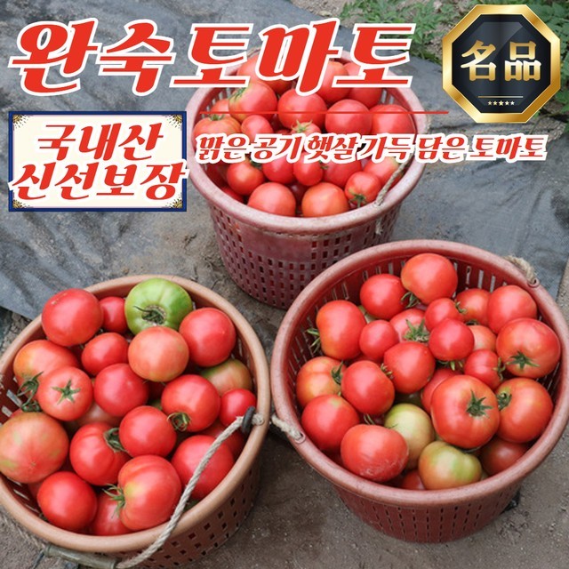 토마토 이미지