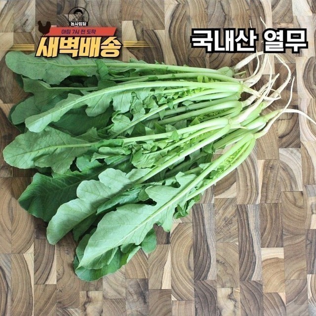 열무 이미지