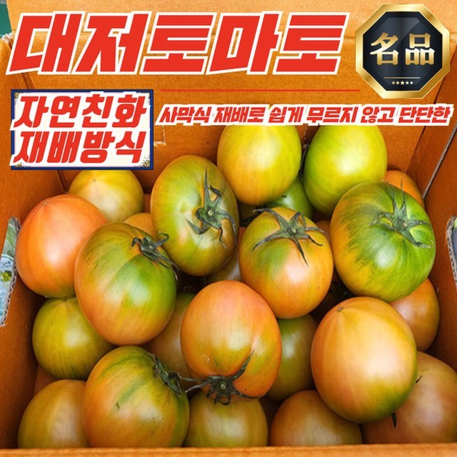 토마토 이미지