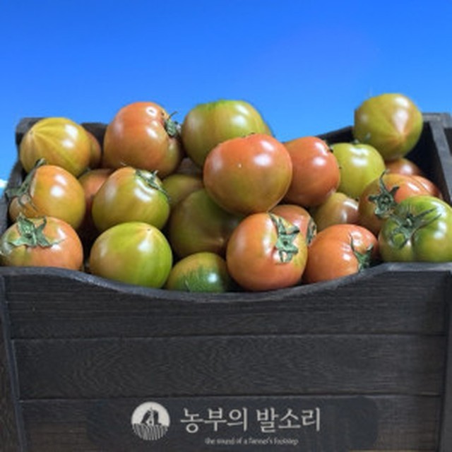 토마토 이미지
