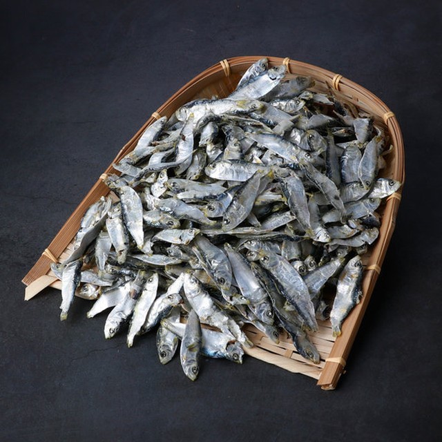 백송 이미지