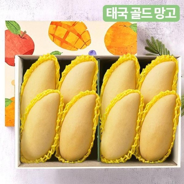망고 이미지