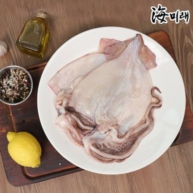 해미래 이미지