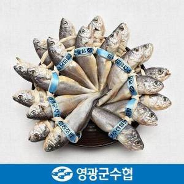 영광냉동 이미지