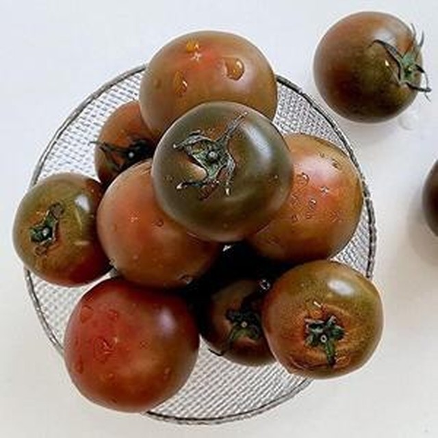 토마토 이미지