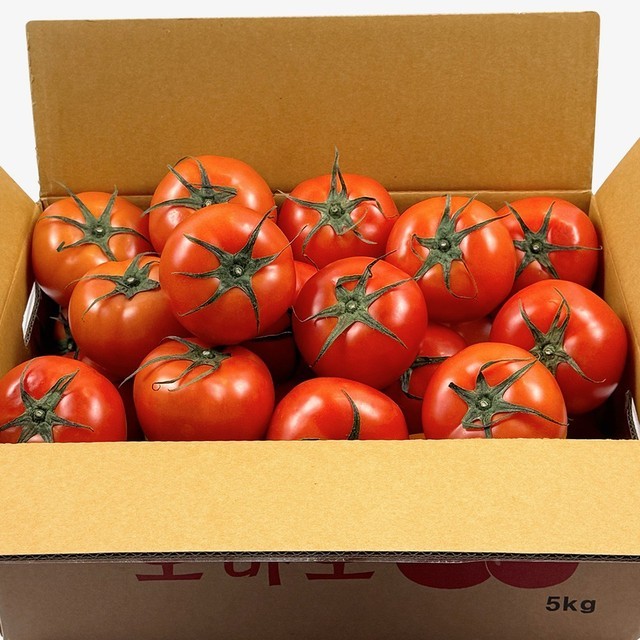 토마토 이미지