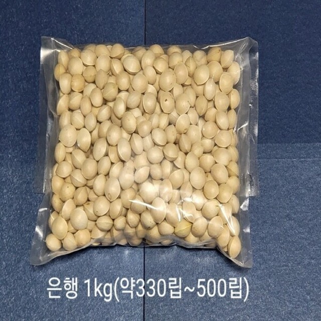 영미의 정원 이미지