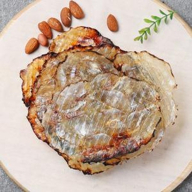 백송 이미지