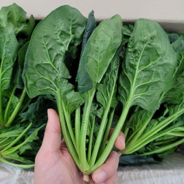 맛통령 이미지