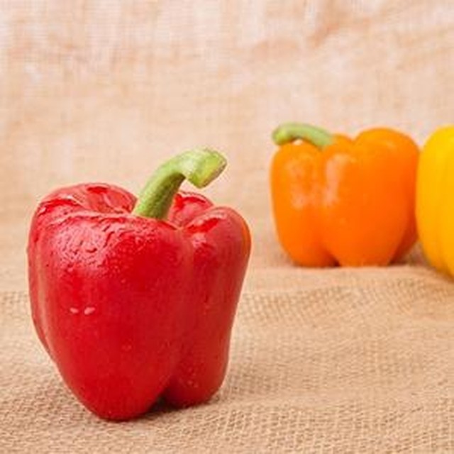 파프리카 이미지