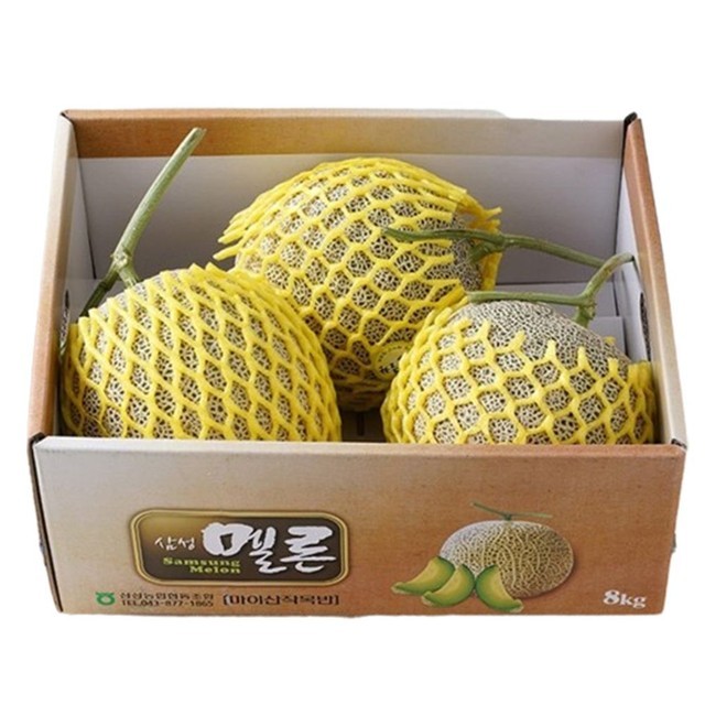 멜론 이미지