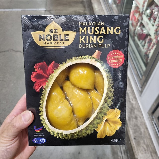 노블 이미지