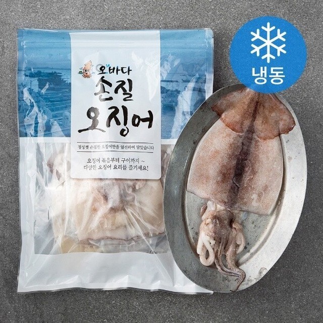 오징어야 이미지