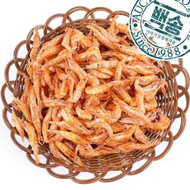 백송 이미지