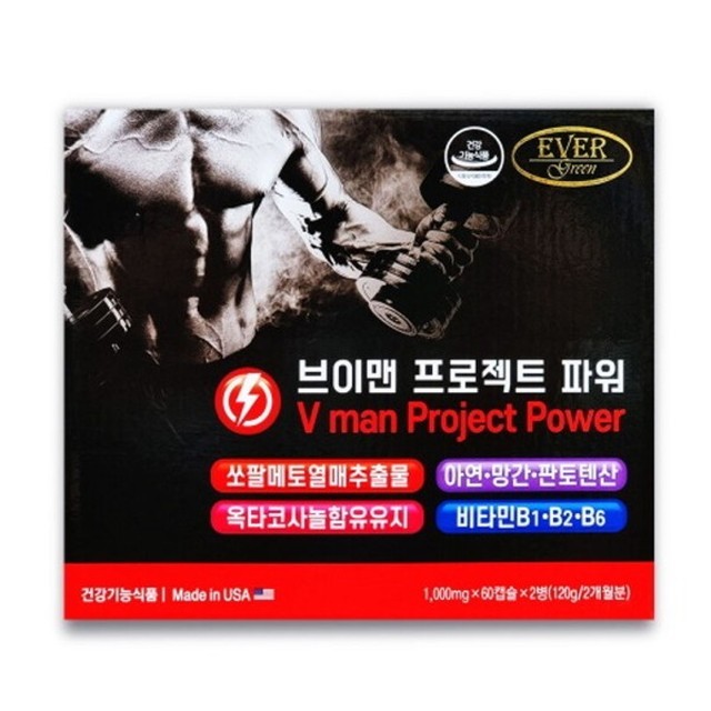 에버그린 이미지