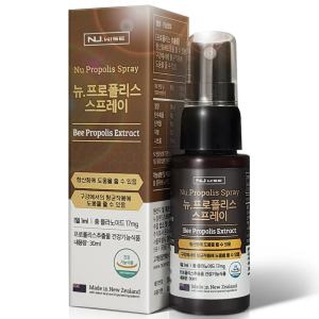 와이즈 이미지