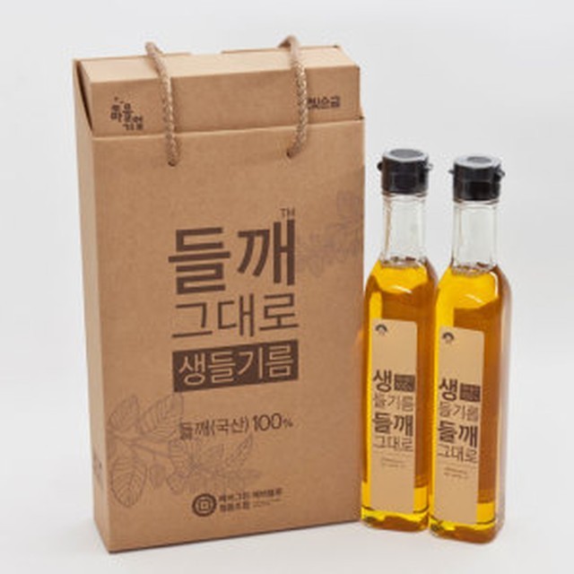 에버그린 이미지