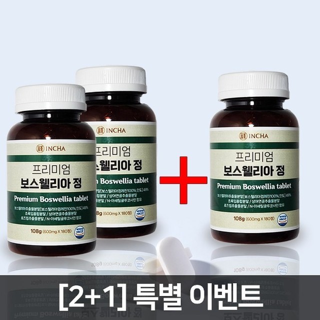 인차 이미지