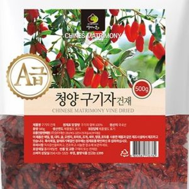 동양 이미지