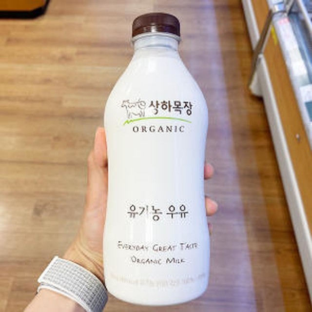 상하 이미지
