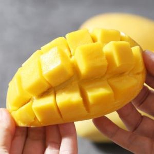 망고 이미지