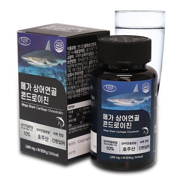 에버그린 이미지