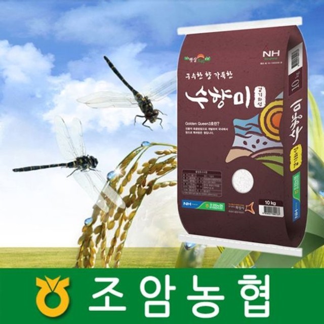 조암농업협동조합 이미지