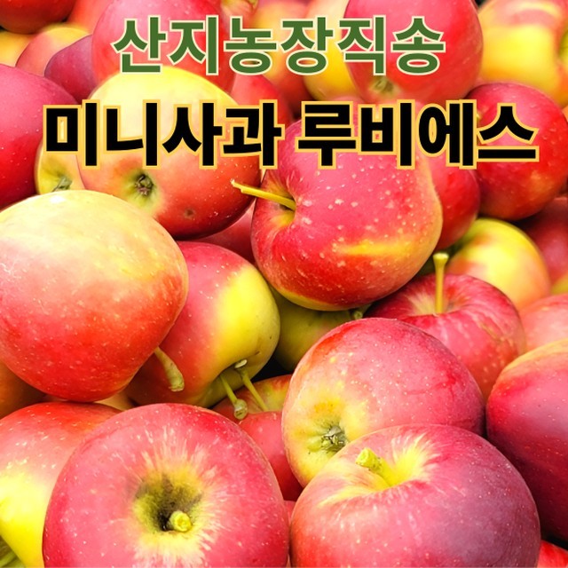 영주상사 이미지