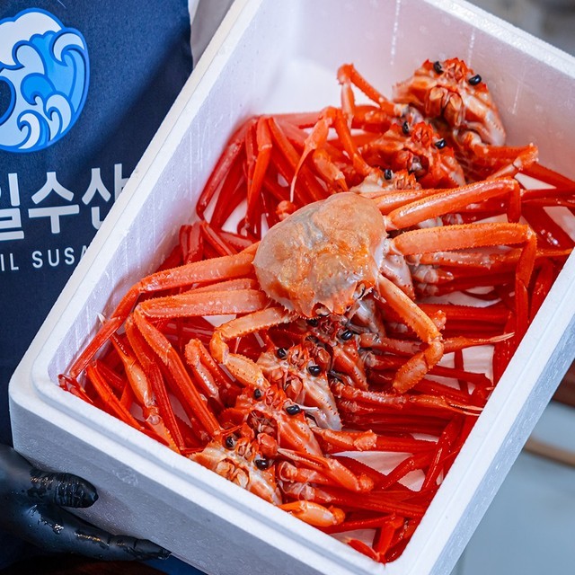 해일수산 이미지