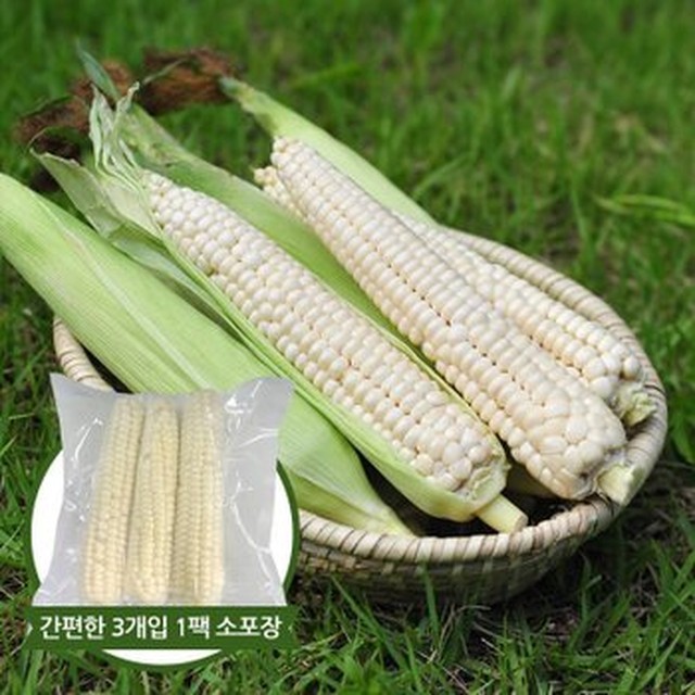 찰옥수수 이미지