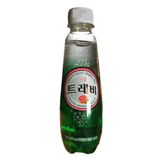 트레비 이미지