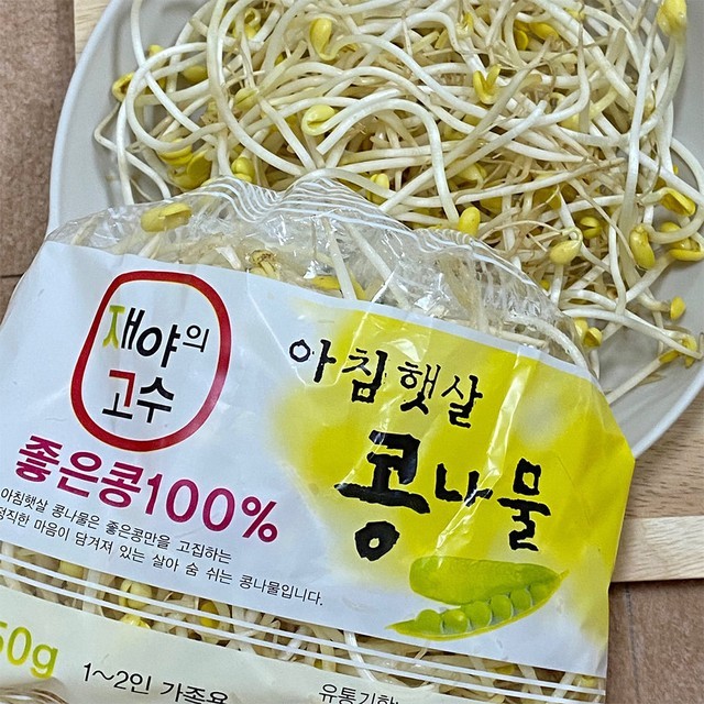 콩나물 이미지