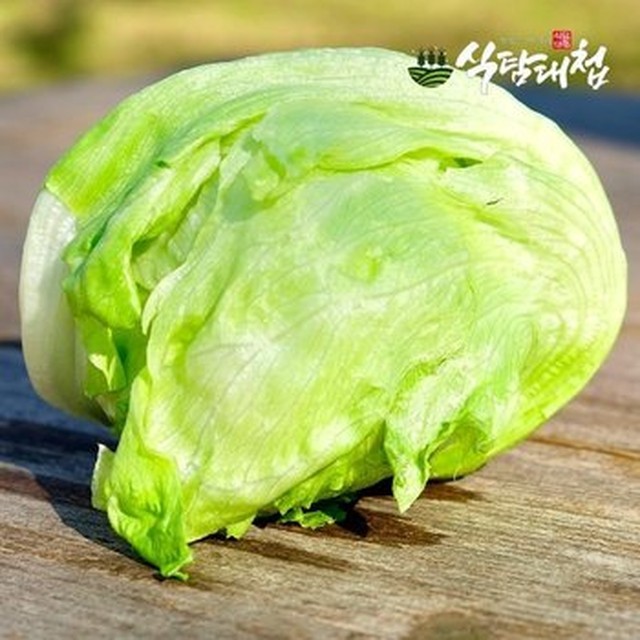 식탐 이미지