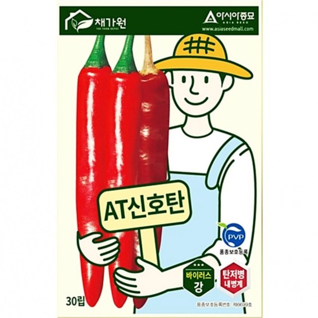 영미의 정원 이미지