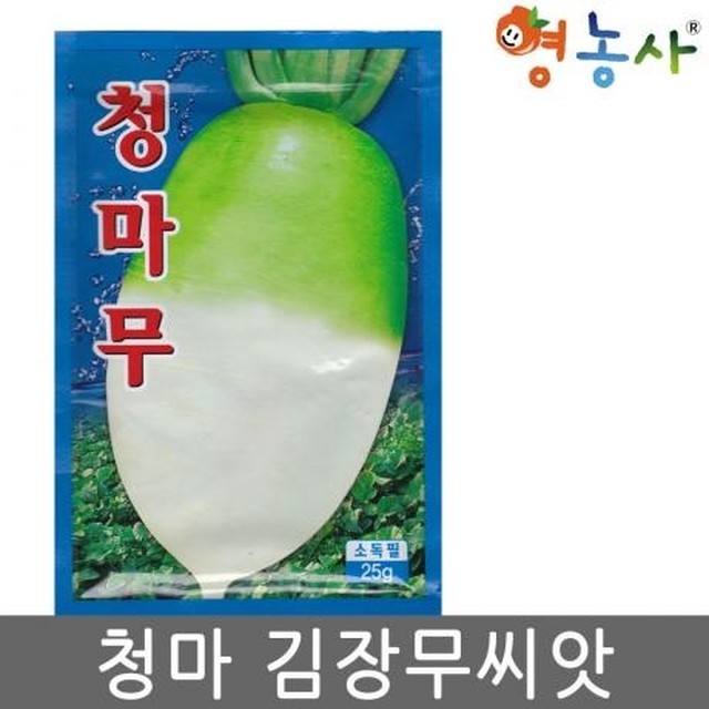 씨앗 이미지