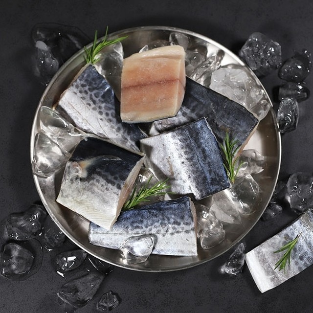 부산Fish 이미지