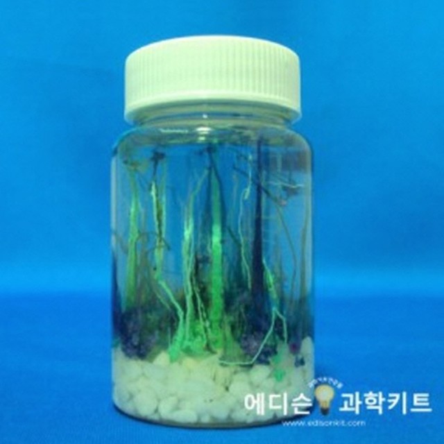 정원화학 이미지
