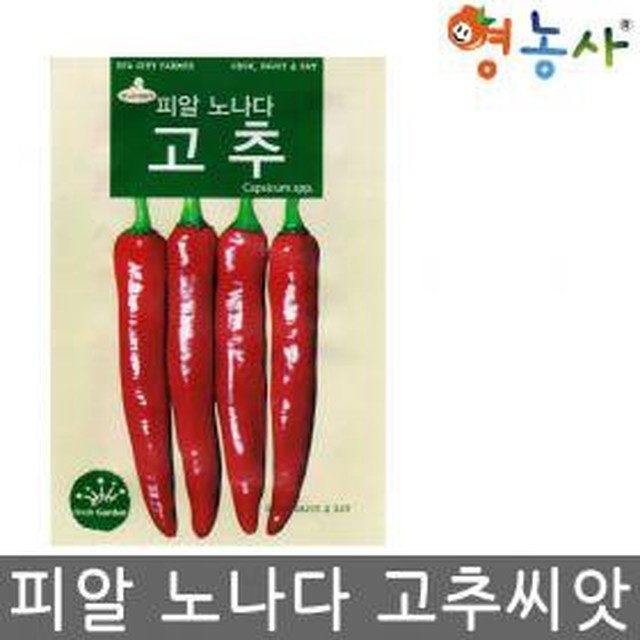 노나다 이미지
