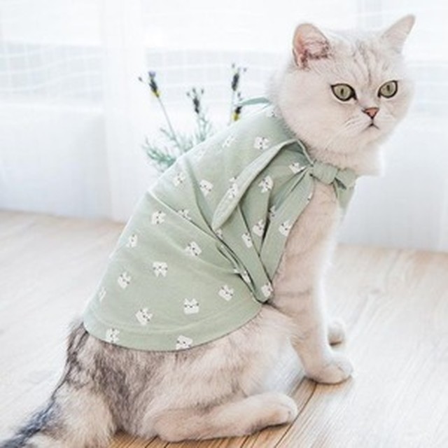 큐티 이미지
