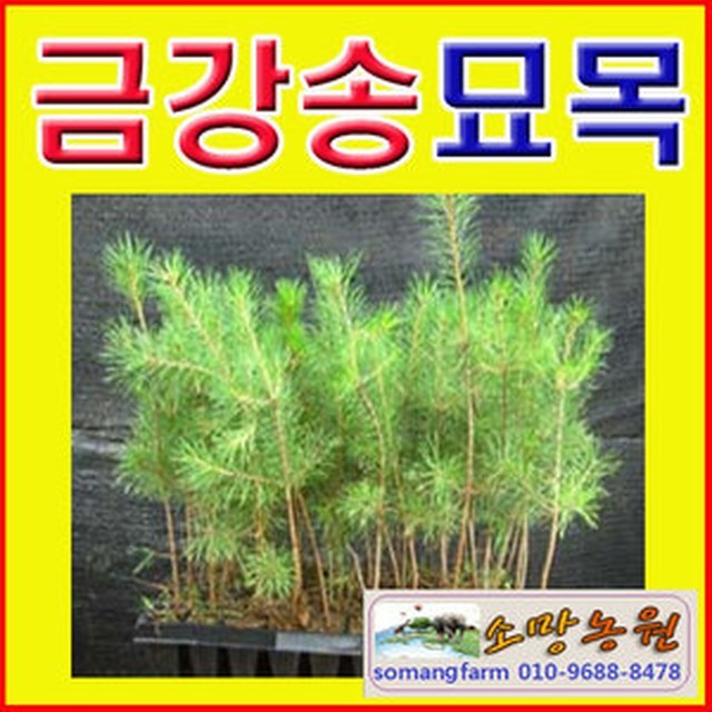 소망농원 이미지
