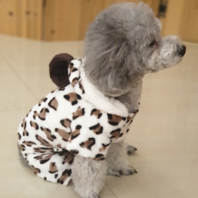 무늬스튜디오 이미지