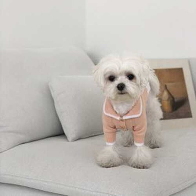 베아또 이미지
