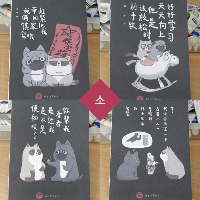 맥스민 이미지