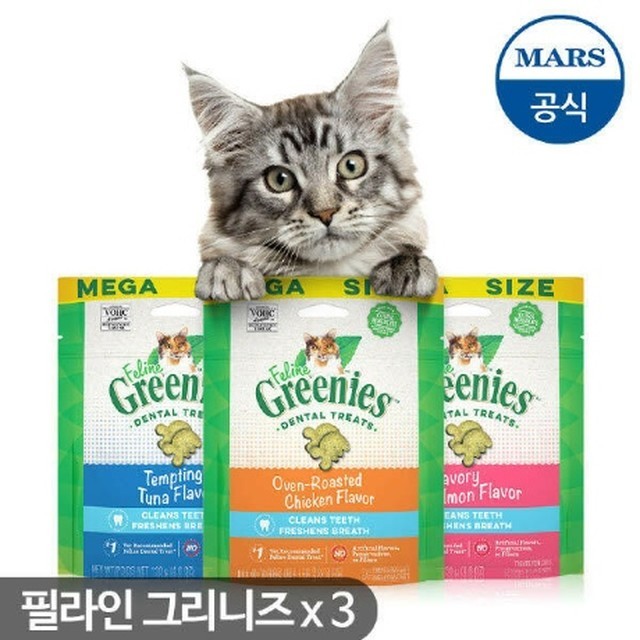필라인 이미지