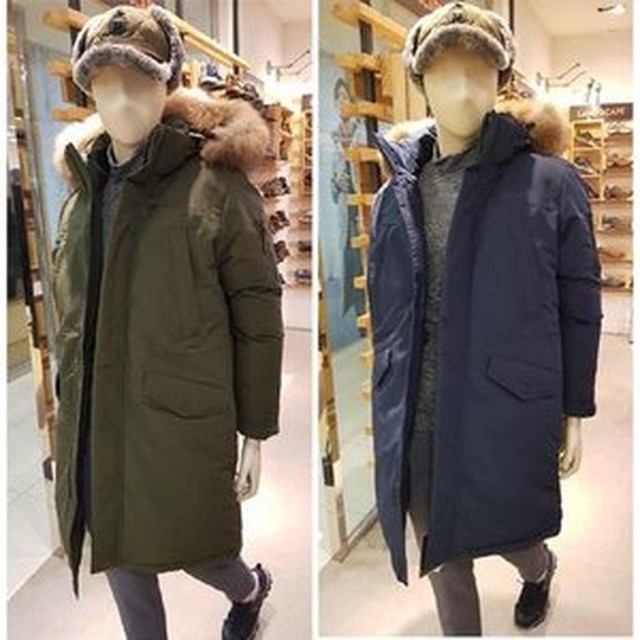 머렐신세계 이미지