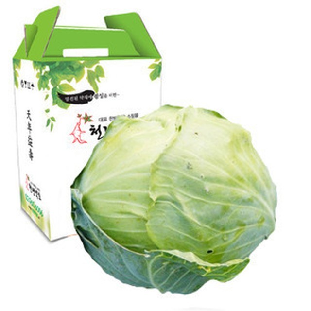천년약초 이미지