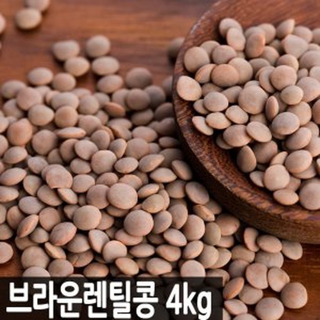 콩브라운 이미지