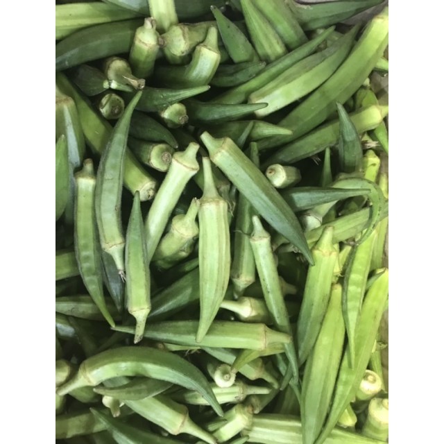 다정한농장 이미지