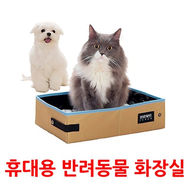 네코청소 이미지