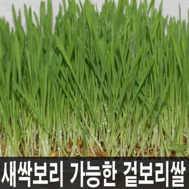 예지식품 이미지